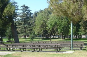 Cedar Grove All (4)